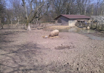 2012-03-25_14-55-29_924