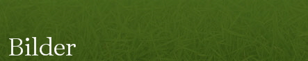 Bilder